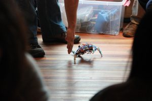 15-IMG_4694